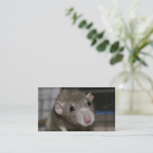 奇妙なネズミ 名刺 (スタンド正面)