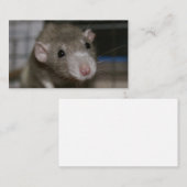 奇妙なネズミ 名刺 (正面/裏面)