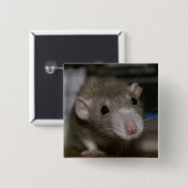 奇妙なネズミ 缶バッジ (正面&裏面)