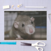 奇妙なネズミ 薄葉紙 (クラフト)