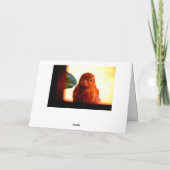 奇妙なフィンチ カード (裏面)