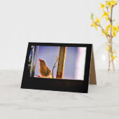 奇妙なフィンチ カード (黄色い花)