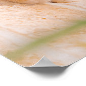 奇妙なマルチーズの朝 ポスター (角)