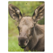 奇妙なムース クリップボード (裏面)