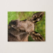 奇妙なムース ジグソーパズル (横)