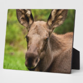 奇妙なムース フォトプラーク (側面)