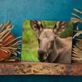 奇妙なムース フォトプラーク (側面)