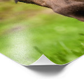 奇妙なムース フォトプリント            (角)