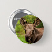 奇妙なムース 缶バッジ (正面&裏面)