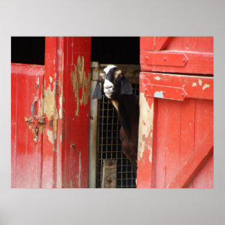 奇妙なヤギのポスター ポスター