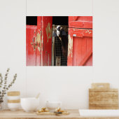 奇妙なヤギのポスター ポスター (キッチン)