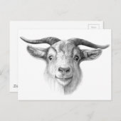 奇妙なヤギG124 ポストカード (正面/裏面)