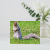 奇妙なリスのはがき ポストカード (スタンド正面)