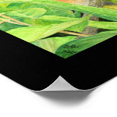 奇妙なリス・アートプリント ポスター (角)