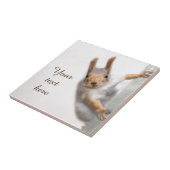 奇妙なリス タイル (側面)