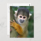 奇妙なリス ポストカード (正面/裏面)