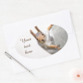 奇妙なリス 楕円形シール (封筒)