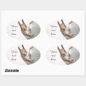 奇妙なリス 楕円形シール (シート)