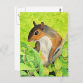 奇妙なリス – Wildlife Art ポストカード (正面/裏面)