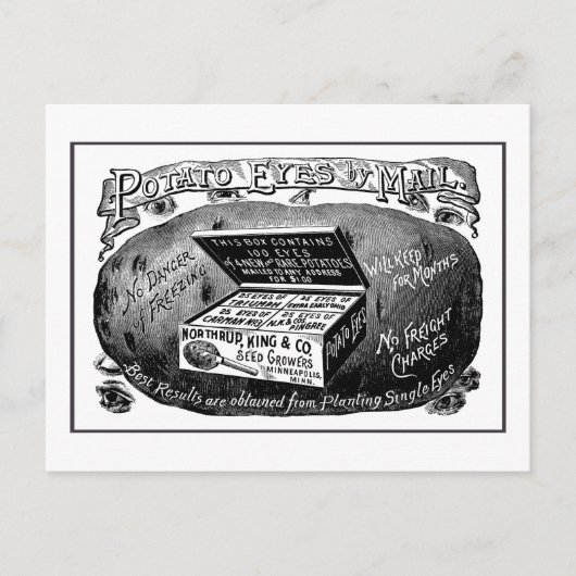 奇妙なヴィンテージポテト広告 ポストカード (正面)