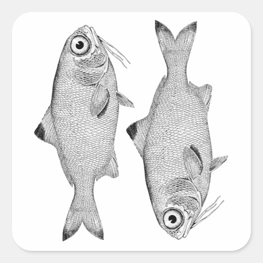 奇妙なヴィンテージ魚のスケッチ スクエアシール (正面)