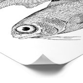 奇妙なヴィンテージ魚のスケッチ ポスター (角)