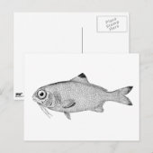 奇妙なヴィンテージ魚のスケッチ ポストカード (正面/裏面)