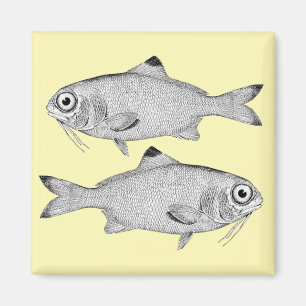 奇妙なヴィンテージ魚のスケッチ マグネット