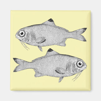 奇妙なヴィンテージ魚のスケッチ マグネット
