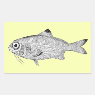奇妙なヴィンテージ魚のスケッチ 長方形シール