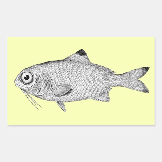奇妙なヴィンテージ魚のスケッチ 長方形シール (正面)