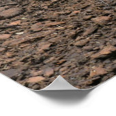 奇妙な七面鳥。 ポスター (角)