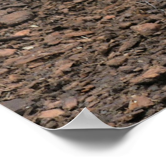 奇妙な七面鳥。 ポスター (角)