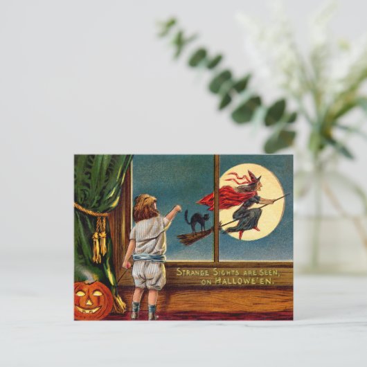 奇妙な光景 ポストカード (スタンド正面)