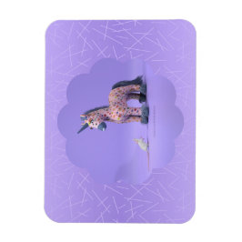 奇妙な出会い磁石 マグネット