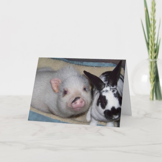 奇妙な友人 カード (正面)