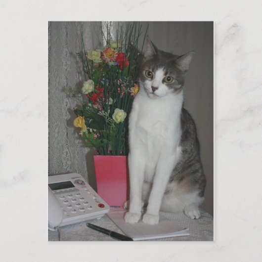 奇妙な声 ポストカード (正面)