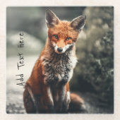 奇妙な大きな赤と白キツネが自然に座って ガラスコースター (正面)