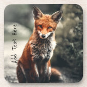 奇妙な大きな赤と白キツネが自然に座って コースター (正面)