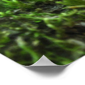 奇妙な妖精 – 妖精とトアドストールポスター ポスター (角)