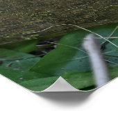 奇妙な子猫が柵でポーズをとっている ポスター (角)