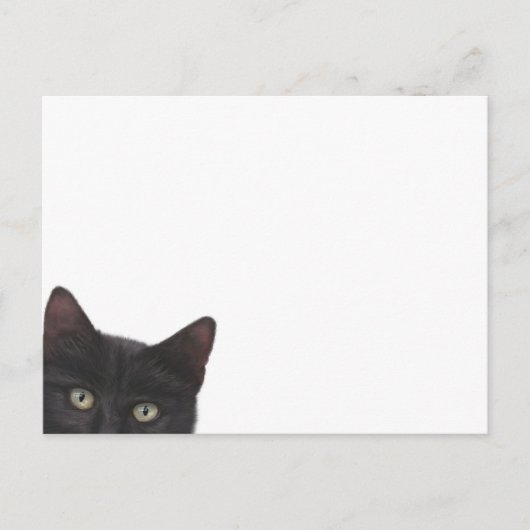 奇妙な子猫デジ絵画タルズ ポストカード (正面)