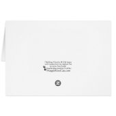 奇妙な子猫 (裏面横)