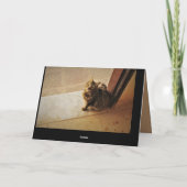 奇妙な子猫 カード (裏面)