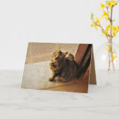 奇妙な子猫 カード (黄色い花)