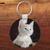 奇妙な子猫 キーホルダー (正面)