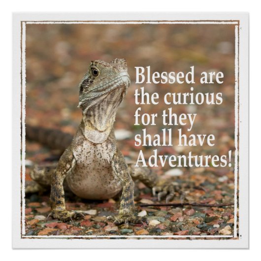 奇妙な引用文 ポスター (正面)