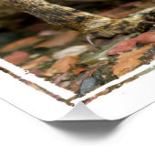 奇妙な引用文 ポスター (コーナー)