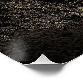 奇妙な惑星 ポスター (コーナー)