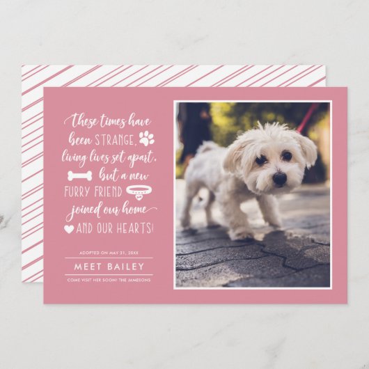 奇妙な時に新しいペットの写真アナウンス|ピンク シーズンカード (正面/裏面)